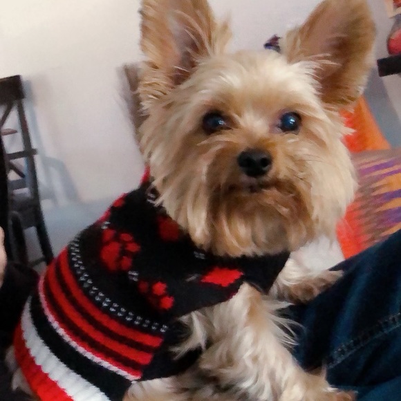 Meet your Posher, Ddfarida - Picture 2 of 5